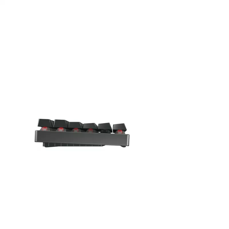 CHERRY MX 8.2 TKL Wireless RGB Teclado Gaming RF Wireless + Bluetooth QWERTZ Alemão Preto