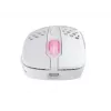 Rato Xtrfy M4 RGB RF Wireless Ótico 19000 DPI