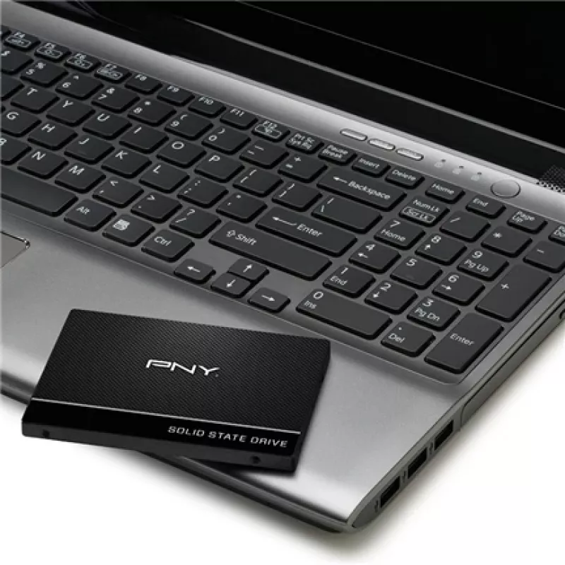 Disco SSD PNY 250 GB 2,5