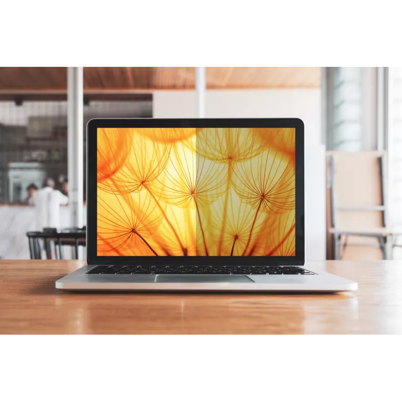 Filtro de privacidade sem moldura 3M BP140W9B 14
