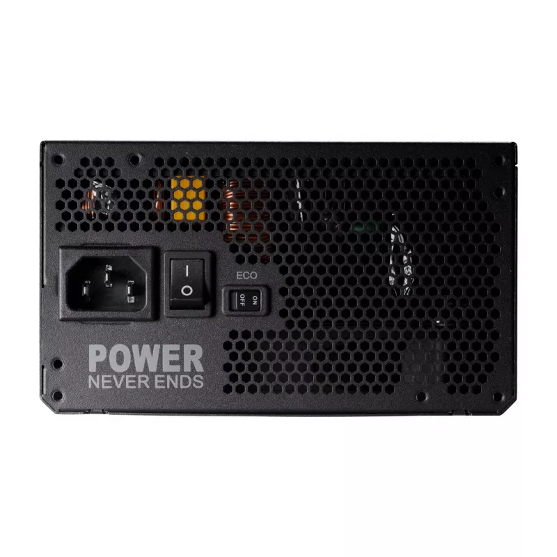 Fonte de alimentação FSP ADVAN GM 1000W ATX ATX3.1 preto, 1000 W, 100 - 240 V, 6 A, ativa, 100 W, 1000 W