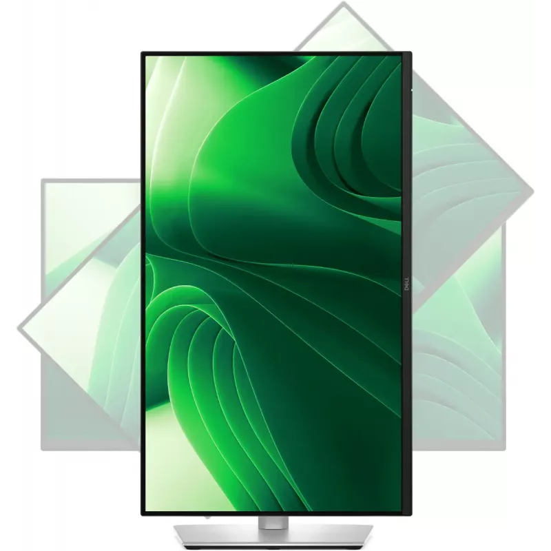DELL Pro Plus P2425D Monitor de computador 61 cm (24 polegadas) 2560 x 1440 píxeis Quad HD LCD preto, prateado