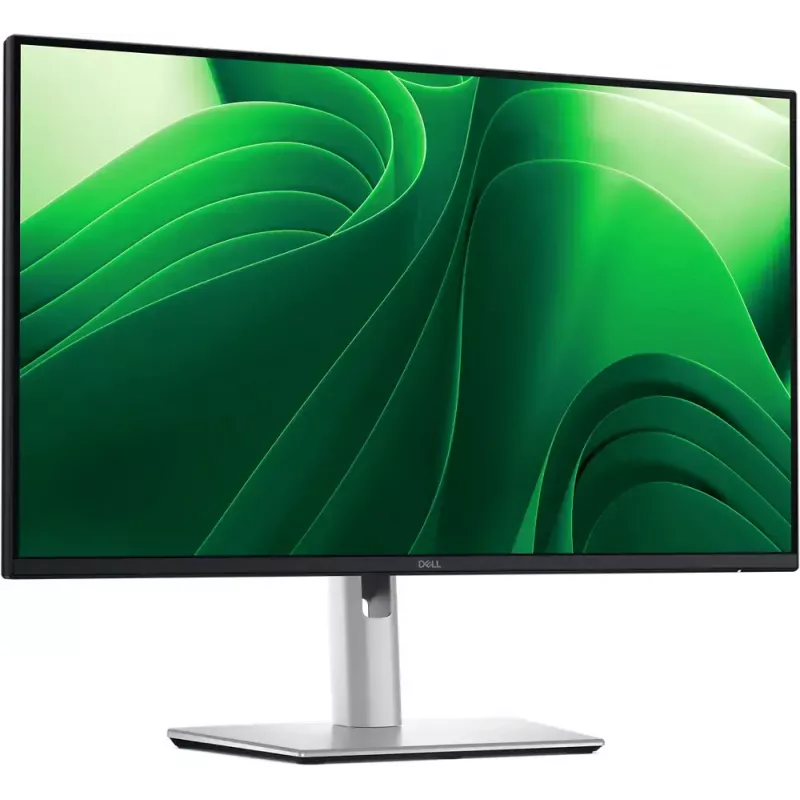 DELL Pro Plus P2425D Monitor de computador 61 cm (24 polegadas) 2560 x 1440 píxeis Quad HD LCD preto, prateado