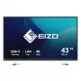 Monitor de computador EIZO FlexScan EV4340X-BK 108 cm (42,5 polegadas) 3840 x 2160 píxeis 4K Ultra HD LCD preto