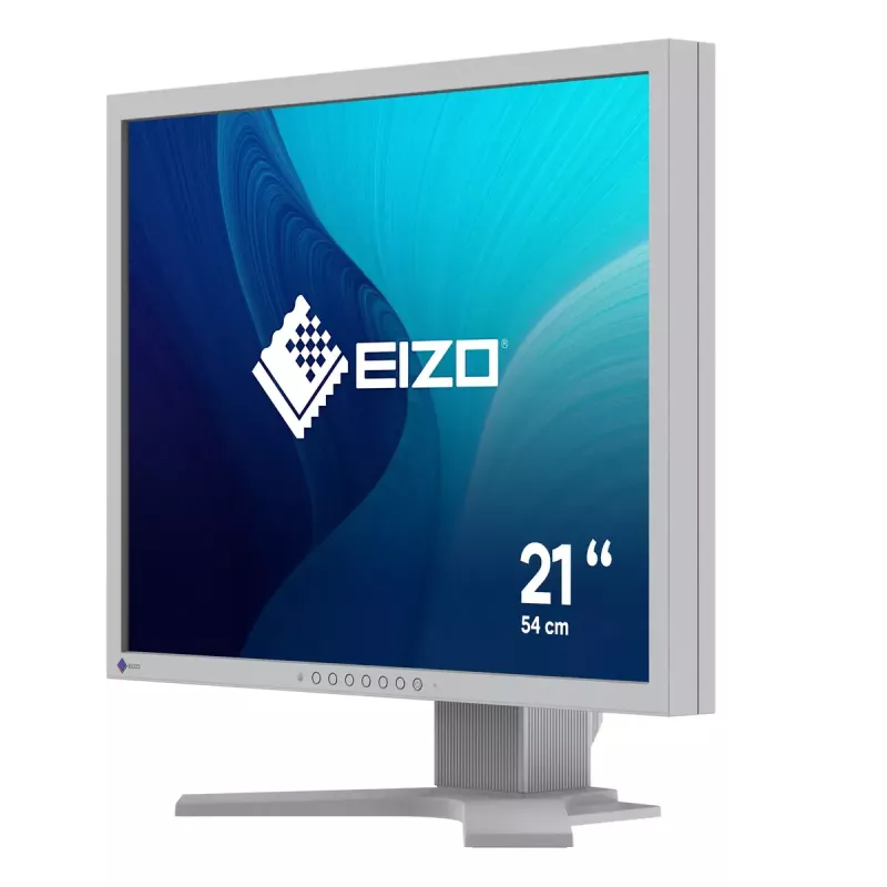 Monitor EIZO FlexScan S2134 21,3 polegadas LED 1600x1200