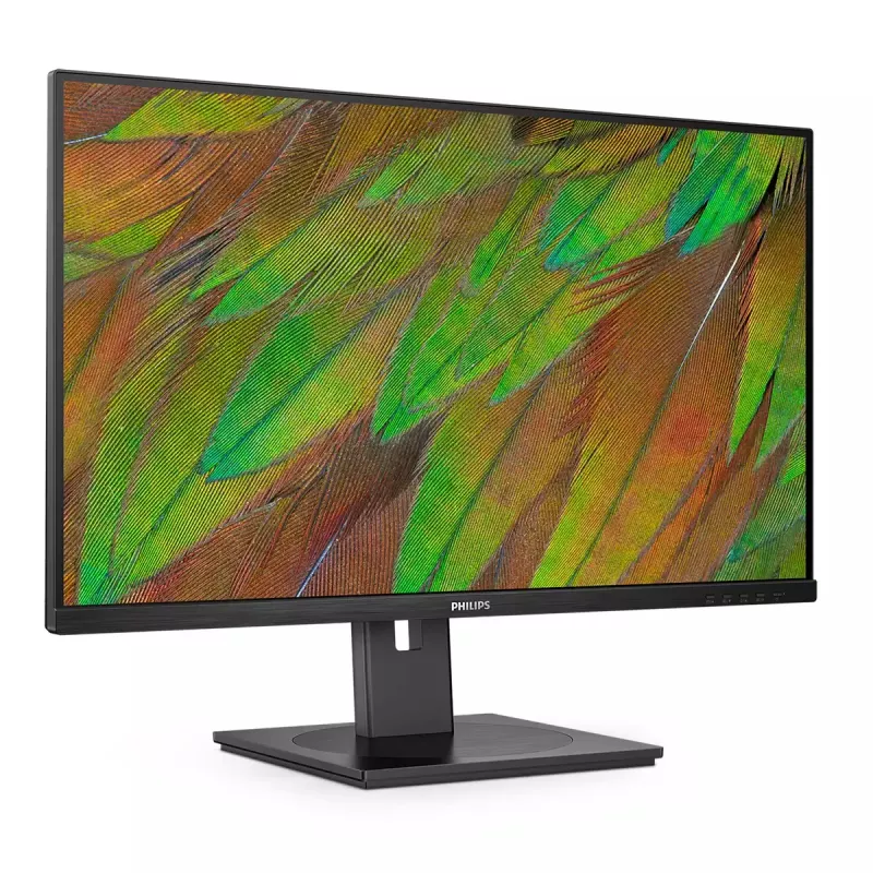 Philips 3000 series 32B1N3800/00 Monitor de computador 81,3 cm (32