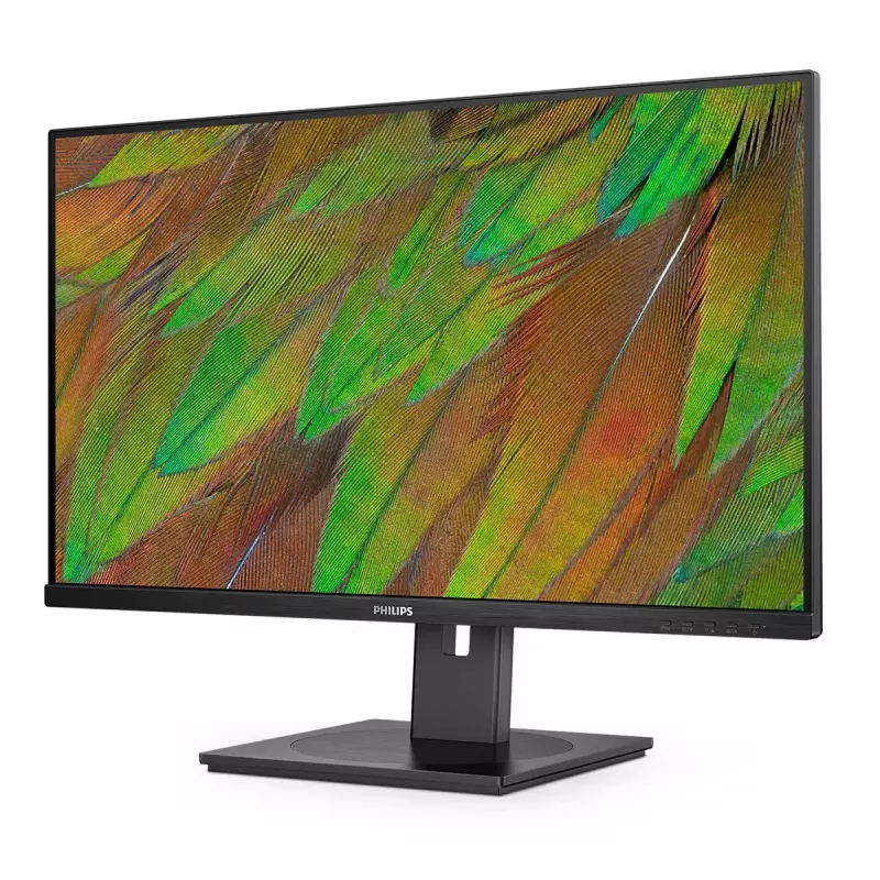 Philips 3000 series 32B1N3800/00 Monitor de computador 81,3 cm (32
