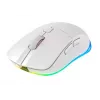 Rato CHERRY XTRFY M50 Wireless RF Wireless + Bluetooth + USB Type-C
