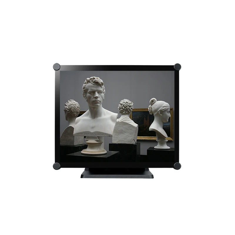 Monitor AG Neovo TX-1702 43,2 cm (17