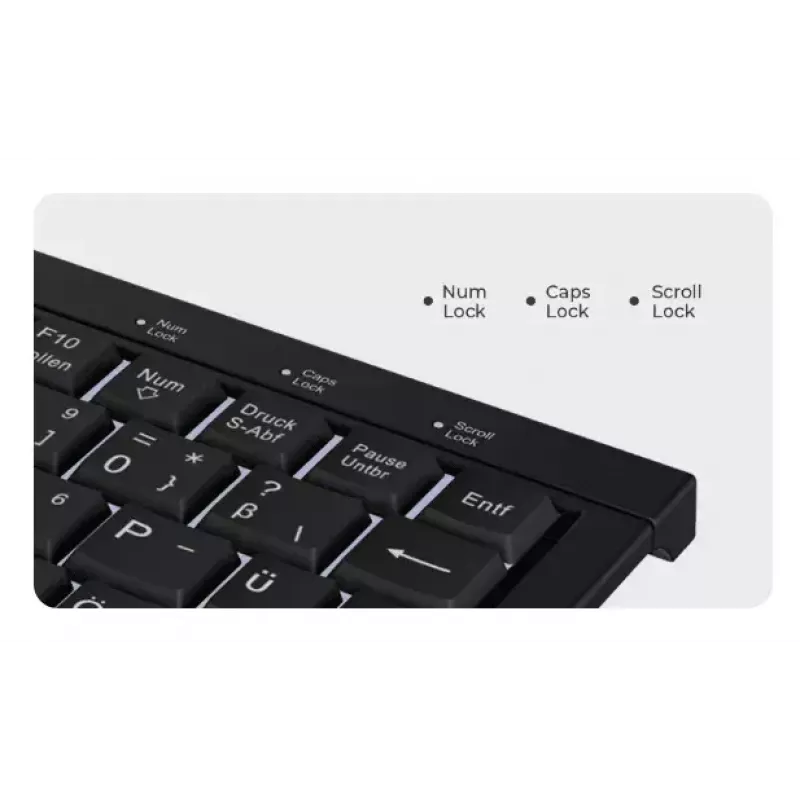 Teclado doméstico KeySonic KSK-3011ELC (DE) USB QWERTZ alemão preto