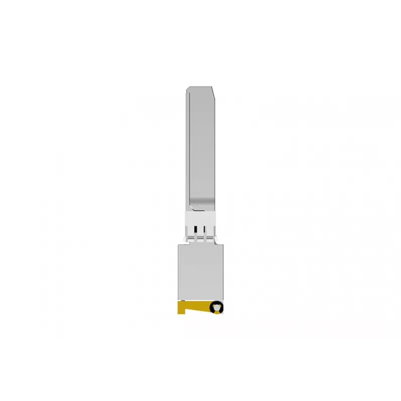 NETGEAR AXM765 SFP+ 10GBase-T RJ-45 módulo transceptor, até 80 m