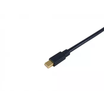 Cabo Mini DisplayPort para DisplayPort Equip, M/M, 2,0 m