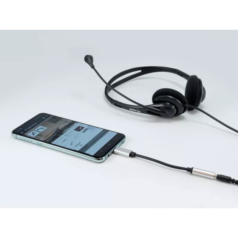 Adaptador DAC de áudio USB-C para 3,5 mm Equip