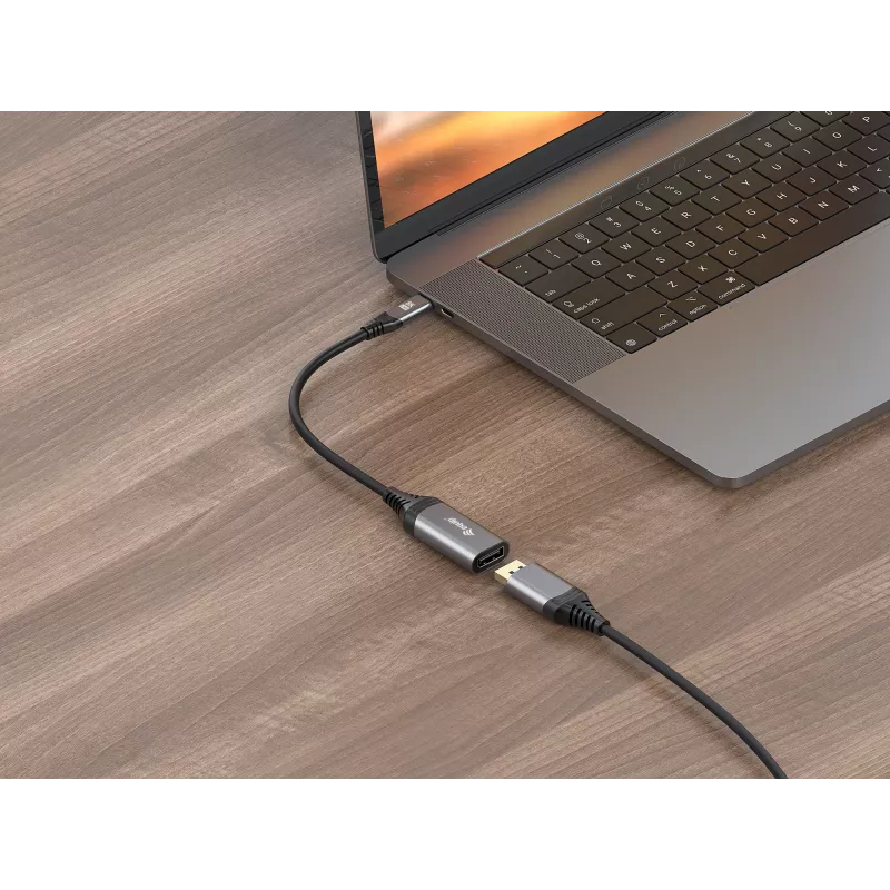 Adaptador Equip USB-C para DisplayPort 1.4 8K 30 Hz 0,15 m