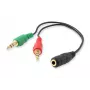 Cabo divisor de áudio Equip, preto, 3,5 mm, 2 x 3,5 mm, conector fêmea, ficha, policloreto de vinilo (PVC)
