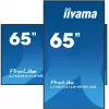 Ecrã de sinalização iiyama LH6541UHS-B1AG 163,8 cm (64,5 polegadas) LCD 500 cd/m² 4K Ultra HD preto 24/7