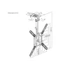 Suporte de teto para TV Equip de 23