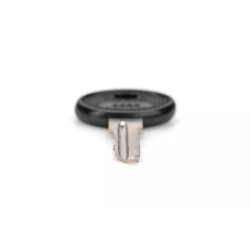 DIGITUS DN-19-KEY-4444 chave de fecho tipo 4444 para armários de parede SOHO PRO DN-1019 / DN-DVR-1, preto/prateado, 2 un.