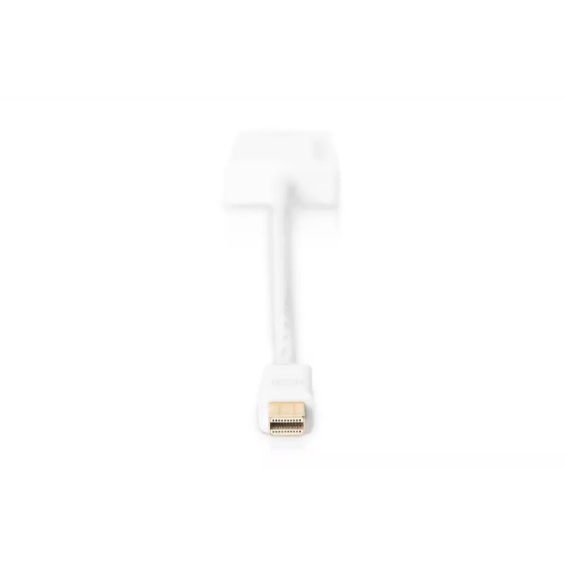 Cabo adaptador DisplayPort DIGITUS ASSMANN, Mini-DP - HDMI Type-A M/F, 20 cm, HDMI Ver. 2.0, ativo, CE, dourado, branco
