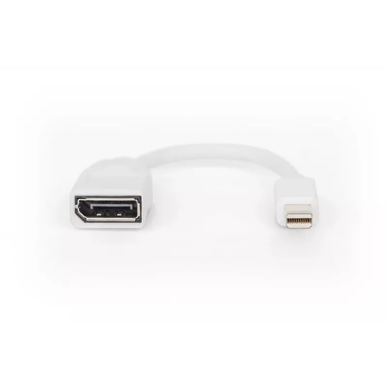 Cabo adaptador DisplayPort DIGITUS, Mini DP - DP M/F, 0,15 m, conforme DP 1.2, branco