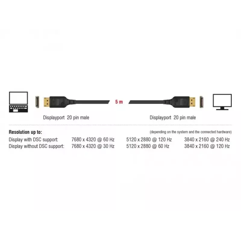 Cabo DisplayPort DeLOCK 85660 2 m preto