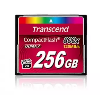 TRANSCEND cartão Cf Cf800 256GB 800x Premium