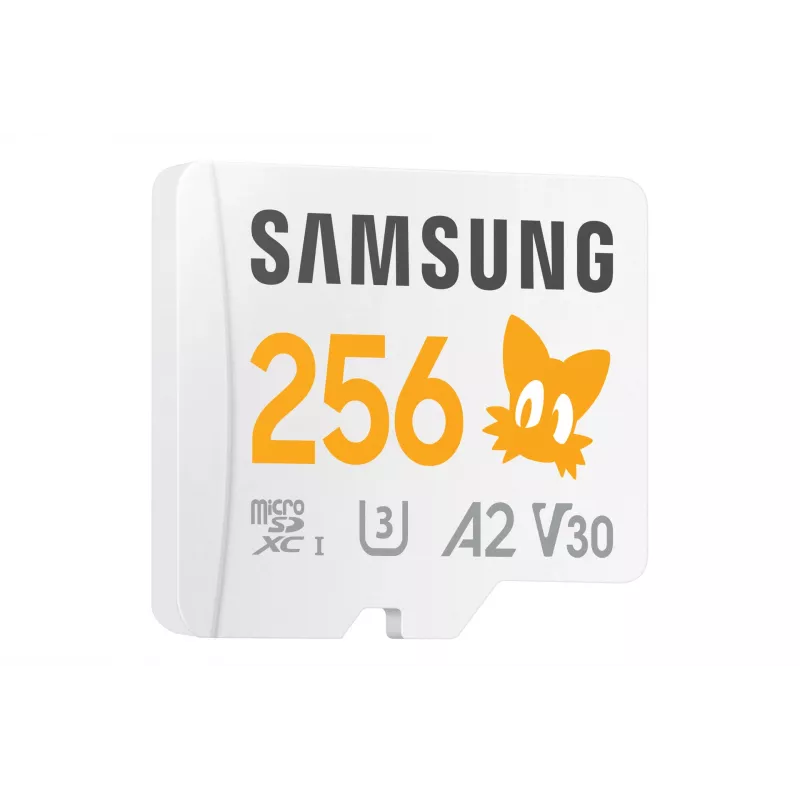 Samsung MB-MD256S 256 GB MicroSDXC UHS-I Classe 10