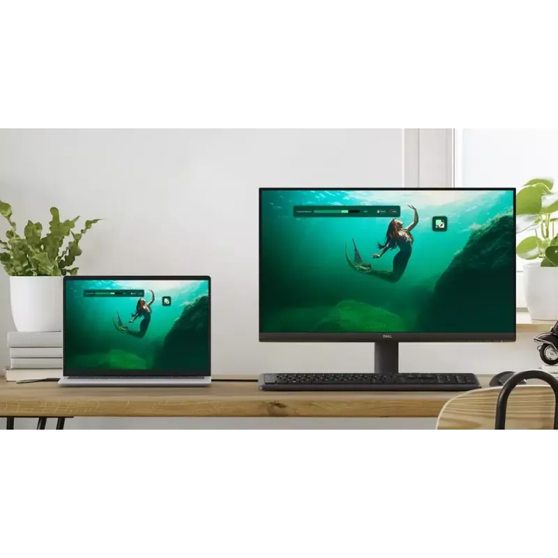 Monitor de computador DELL SE2425HM 60,5 cm (23,8 polegadas) 1920 x 1080 pixels Full HD LCD preto