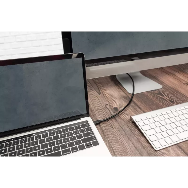 Cabo de ligação DIGITUS USB Type-C, type C to C M/M, 1m Gen2 preto (AK-300139-010-S)