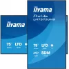 Ecrã de sinalização digital iiyama LH7575UHS-B2AG 190,5 cm (75
