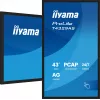 Monitor de computador iiyama T4329AS-B1AG 108 cm (42,5
