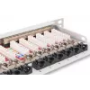 DIGITUS Patch Panel CAT6A EA blindado, 24 portas RJ45 proteção contra pó, 8P8C, 0,5U, cinzento RAL 7035