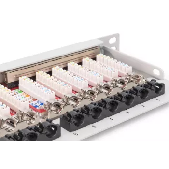 DIGITUS Patch Panel CAT6A EA blindado, 24 portas RJ45 proteção contra pó, 8P8C, 0,5U, cinzento RAL 7035