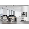 Suporte de TV Neomounts NM-M1700preto 32-75 polegadas, preto, suporte de chão fixo, aço, 50 kg, 81,3 cm (32 polegadas), 190,5 cm (75 polegadas)