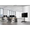 Suporte de TV Neomounts NM-M1700preto 32-75 polegadas, preto, suporte de chão fixo, aço, 50 kg, 81,3 cm (32 polegadas), 190,5 cm (75 polegadas)
