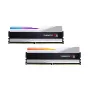 DIMM 32 GB DDR5-6400 (2x 16 GB) Dual-Kit, memória RAM prateada, F5-6400J3239G16GX2-TZ5RS, Trident Z5 RGB, INTEL XMP