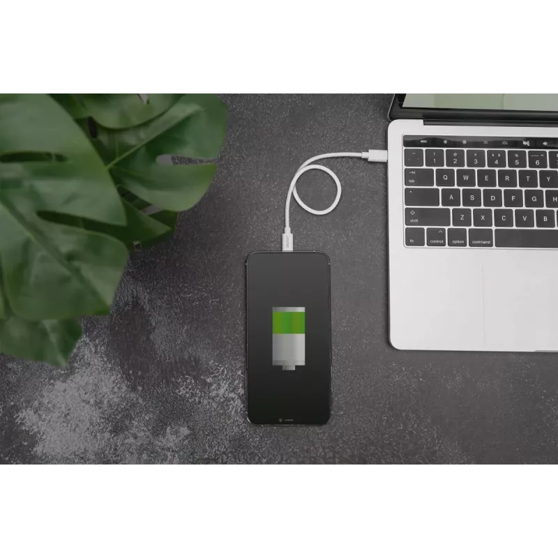 Cabo de carregamento USB-C – Lightning Digitus Data DB-600109-010-W
