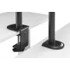 Braço para monitor DIGITUS com suporte para portátil 17-32 polegadas, 9 kg máx. – fixação por morsa ou passagem pela mesa