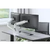 Braço para monitor Neomounts DS70S-950WH2 17-35
