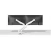 Suporte de monitor Neomounts DS70-250WH2 17-32 polegadas - mola a gás - Topfix - bloqueio de 180°