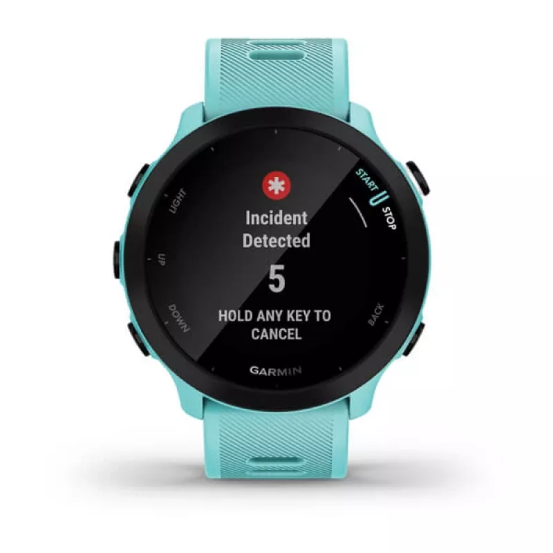 GARMIN INTERNATIONAL Forerunner 55 smartwatch de corrida - Aqua
