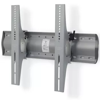 ERGOTRON Tm Suporte de parede inclinável (prateado) (61-142-003)