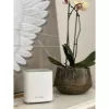 Sistema D-Link COVR AX1800 Dual-Band Whole Home Mesh Wi‑Fi 6