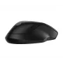 Rato sem fios HP 255 Dual, ambidestro, ótico, RF Wireless + Bluetooth, 1600 DPI, preto