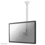 Suporte de teto para monitor/TV Neomounts FPMA-C100WHITE 10-30