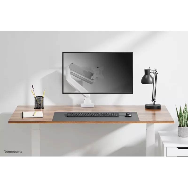 Braço para monitor Neomounts DS70-450WH1 17-42