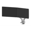 Braço para monitor Neomounts DS70-250SL2 17-32