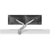 Braço para monitor Neomounts DS70-250SL2 17-32