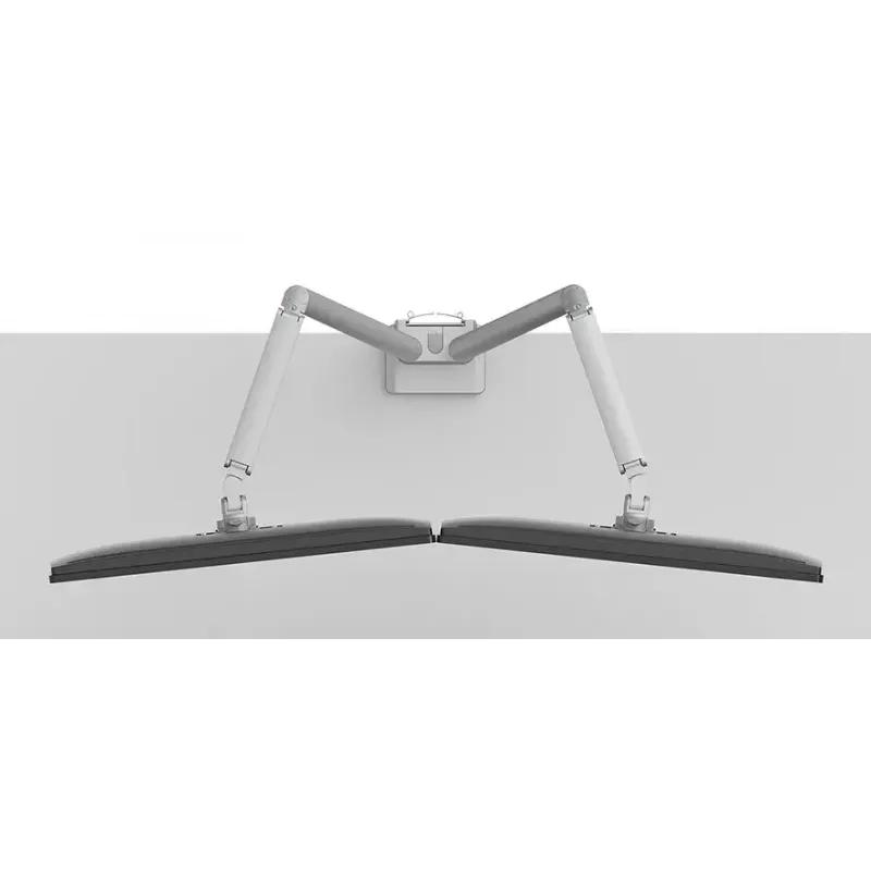 Braço para monitor Neomounts DS70-250SL2 17-32