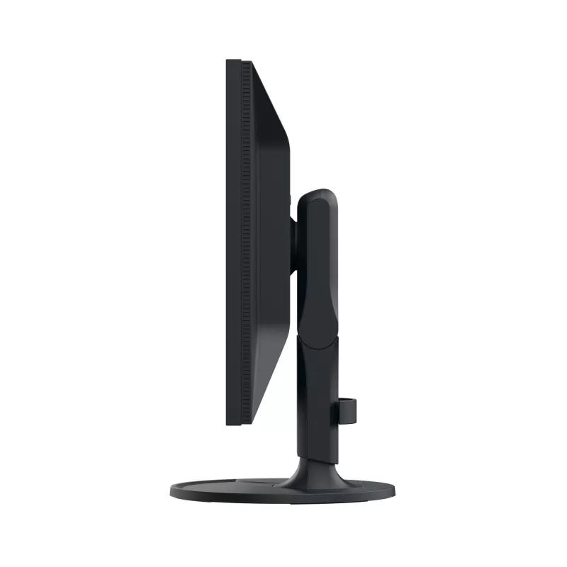 Monitor de computador EIZO ColorEdge CS2400S 61,2 cm (24,1 polegadas) 1920 x 1200 píxeis WUXGA LCD preto